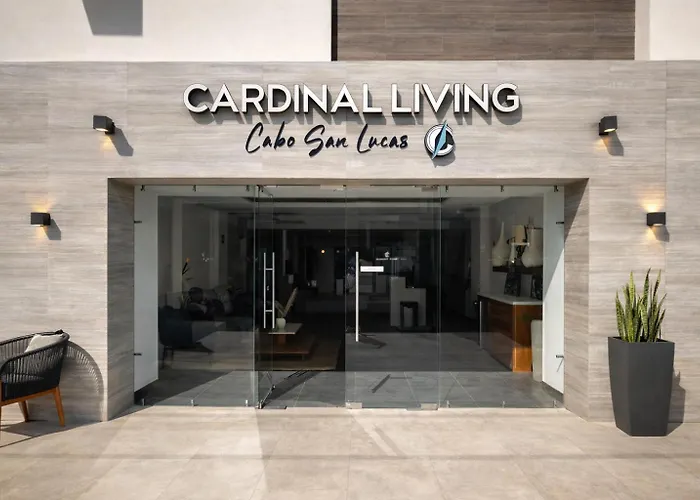Rooftop Escape • Walk To • Luxury Apartment Cabo San Lucas